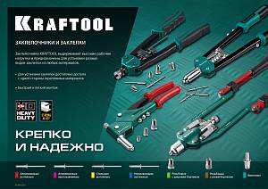 KRAFTOOL Steel, 4.8 x 30 мм, 250 шт, стальные заклепки (311703-48-30)
